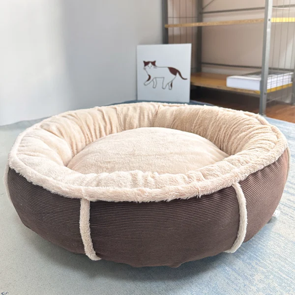 Best Dog Bed