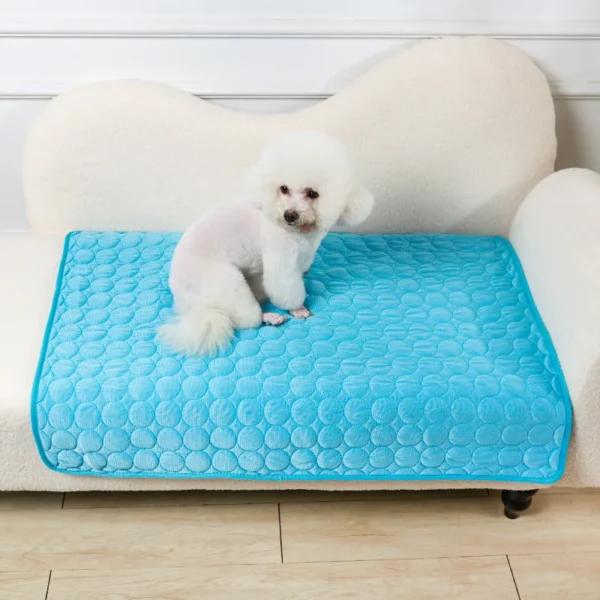 A dog on the Dog Cooling Mat