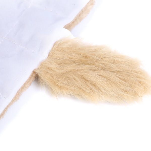 the tail of the Squeaky Dog Toys